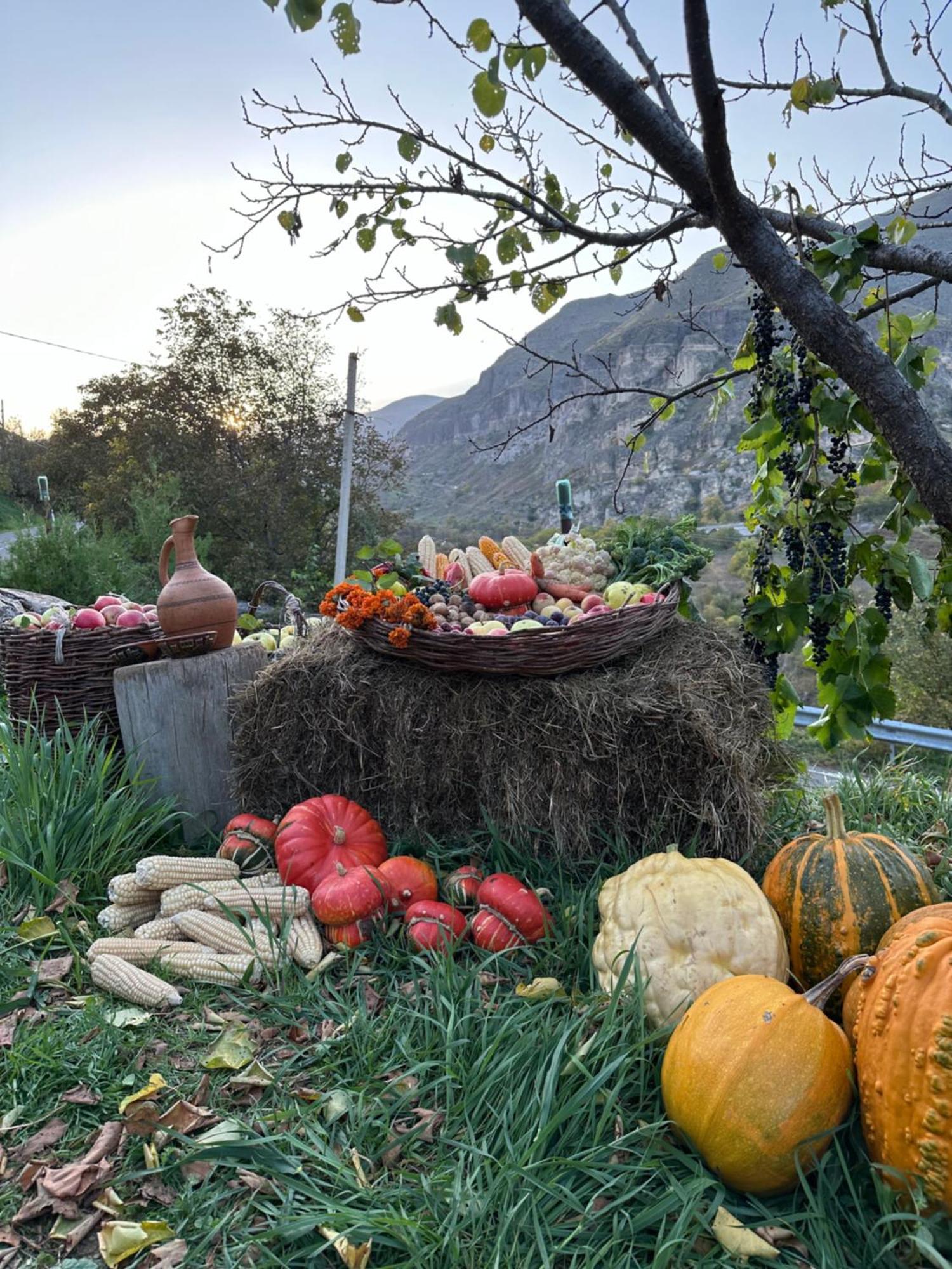 Hotel-Gvala Vardzia  Luaran gambar