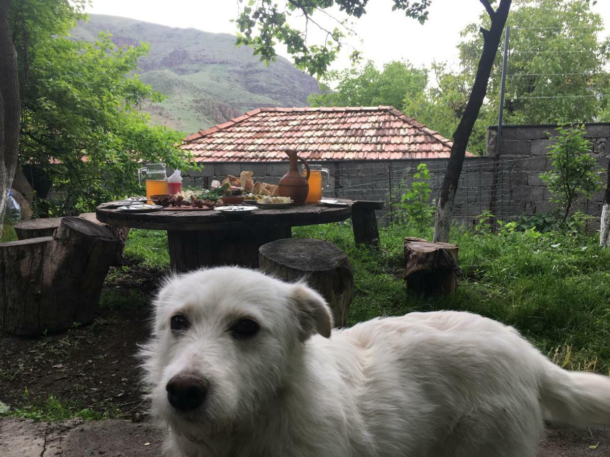Hotel-Gvala Vardzia  Luaran gambar